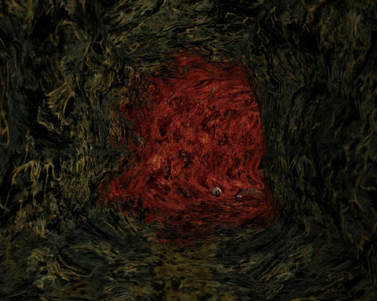 File:Giant Worm Tunnel.jpg